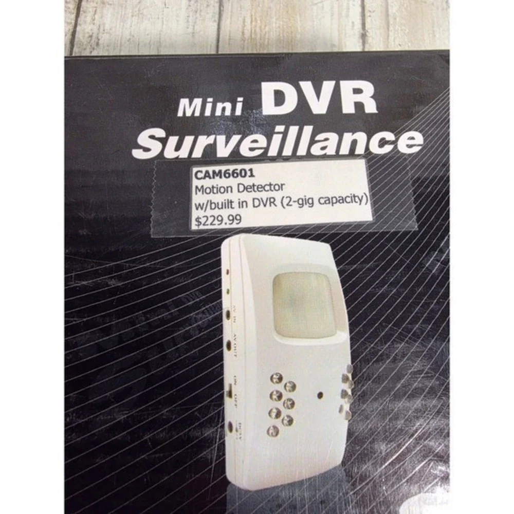Sony NTSC Mini DVR Surveillance Motion Detector Camera 2GB CAM6601 White